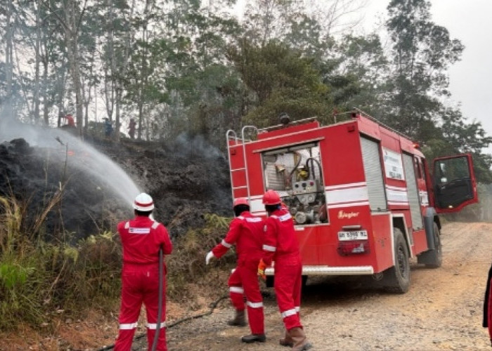 Pertamina EP Bantu Padamkan Lima Titik Kebakaran Lahan di Jambi