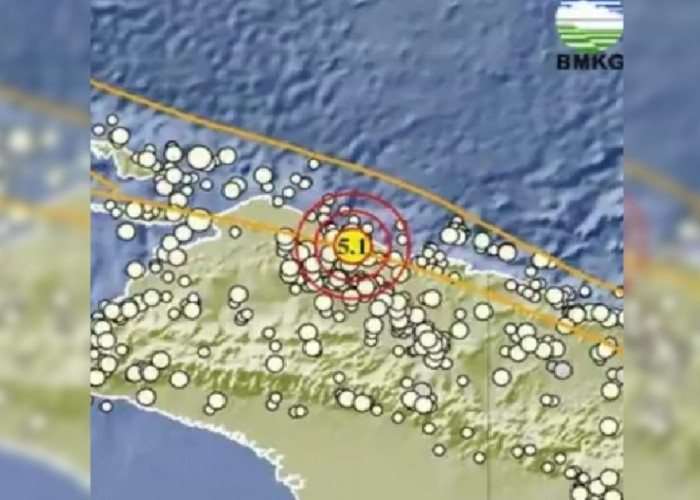 Update BMKG, Gempa 5.1 M Guncang Papua, Tak Berpotensi Tsunami