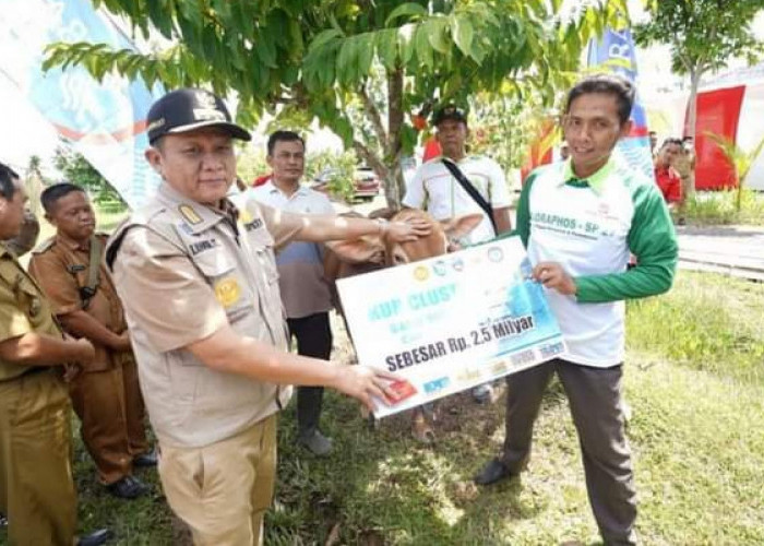 Penggemukan Sapi di OKU Timur Jadi Pilot Project Perhiptani Sumsel