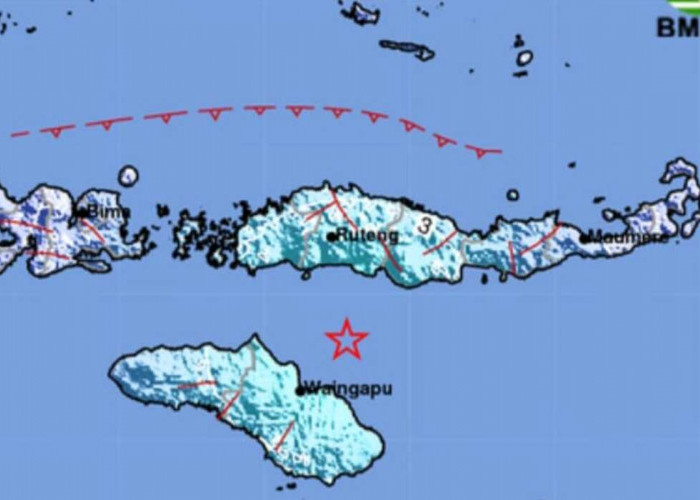 Update BMKG, Gempa Laut Terjadi di Sumba Timur NTT, Segini kekuatannya