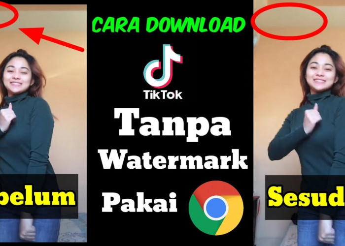 Proses Cepat dan Mudah, Begini Cara Download Video Tiktok Tanpa Watermark