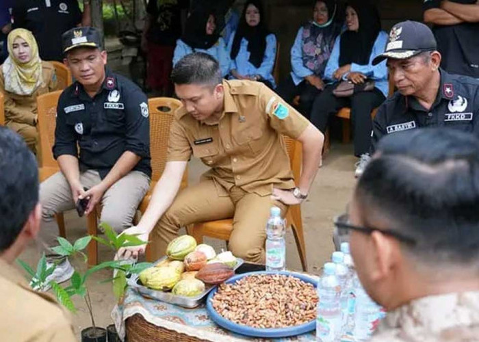 Bupati Panca Apresiasi Panen Perdana Kopi Dataran Rendah di Ogan Ilir