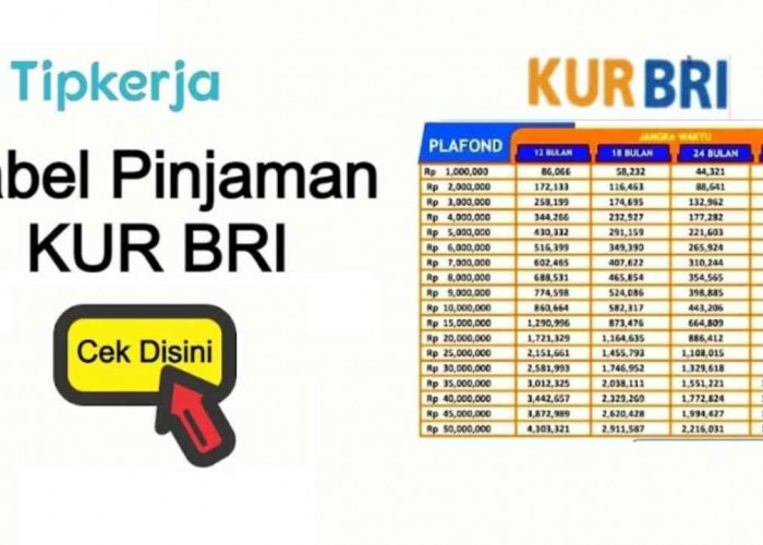 Bunganya Rendah, Pinjaman KUR BRI Kian Diminati Calon Debitur di Kayuagung