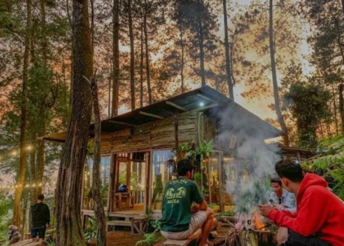 Warung Terpencil di Tengah Hutan Kabupaten Banjarnegara, Ternyata Buka Sampai Malam 