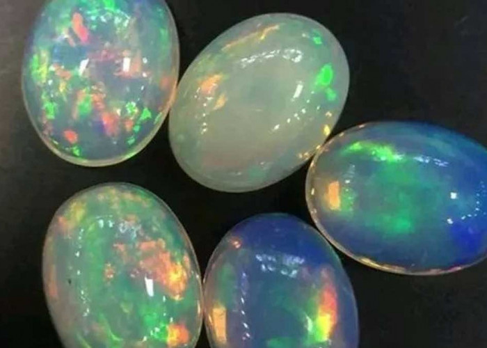 Ini 5 Batu Akik Paling Digemari Pejabat Indonesia, Nomor 4 Efeknya Bikin Geleng-geleng Kepala!