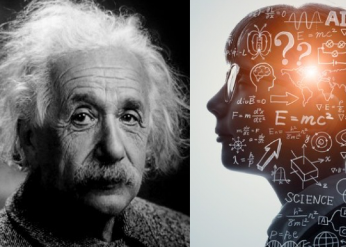 Cek IQ Kamu, Inilah Ciri-Ciri Orang Cerdas, Urutan Kedua Pernah Dilakukan Einstein!