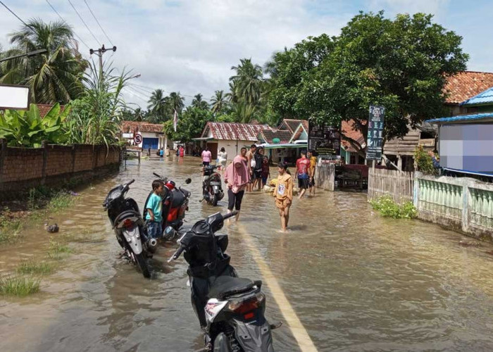 Info Terkini: Banjir Bandang di Muratara, 7 Kecamatan Terendam, 8 Jembatan Putus