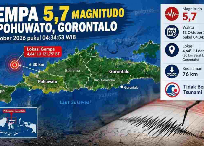 Gempa Magnitudo 5,7 Guncang Pohuwato Gorontalo Pagi Ini, BMKG: Tak Berpotensi Tsunami