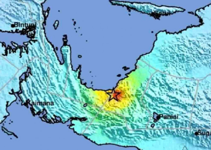 Gempa Magnitudo 6.5 Guncang Nabire Papua, Dipicu Sesar Anjak Weyland, Sebabkan Kerusakan Ringan