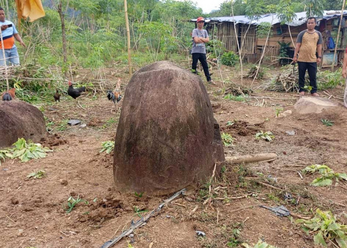 Ditemukan di Tengah Kebun Singkong! Megalitik Langka Berusia Ribuan Tahun Muncul di Merapi Selatan Lahat