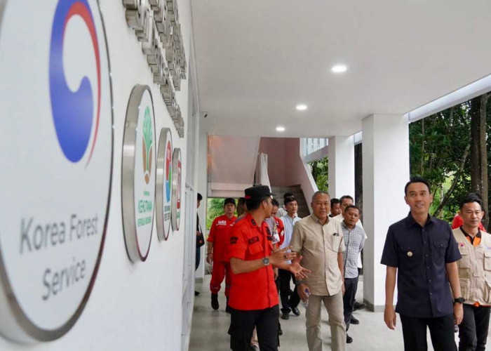 Gandeng Korea, Bupati Muchendi Luncurkan Sistem Pemantau Gambut Real-Time di OKI