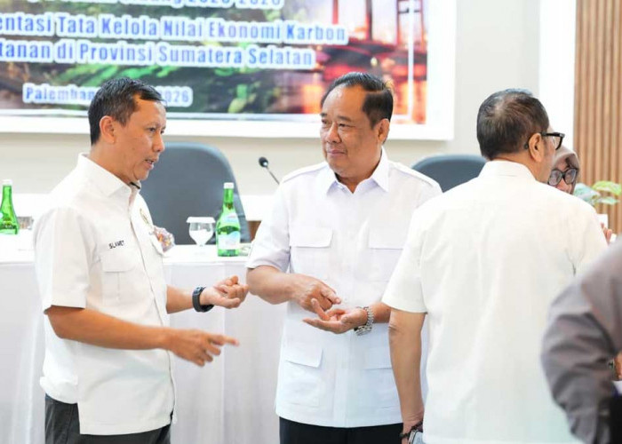 Sumsel Punya Cadangan Karbon 416 Juta Ton! Wagub Cik Ujang Dorong Tata Kelola yang Sejahterakan Rakyat