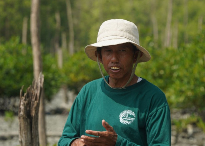 Kisah Masyarakat Pasir Sakti: Dulu Terkikis Abrasi, Kini Tumbuh Mangrove yang Menghidupi