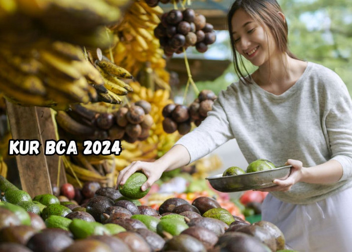 Mengulas Dana KUR BCA 2024 Limit Pinjaman Hingga Rp500 Juta, Suku Bunga Hanya 6 Persen
