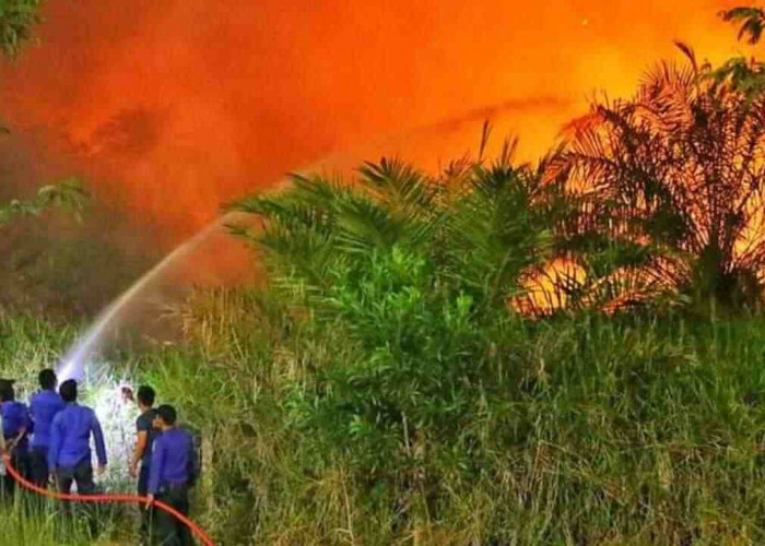 GAWAT! Karhutla di Ogan Ilir Kian Parah, Lahan Terbakar Lebih dari 900 Hektar 