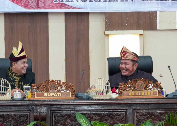 Herman Deru Puji Lompatan Kemajuan Banyuasin di Usia ke-24