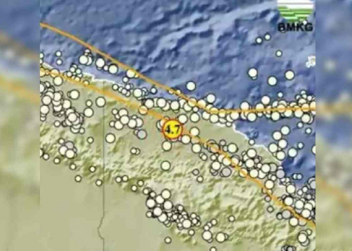 Gempa 4.7 Magnitudo Guncang Keerom Papua Pagi Ini, Cek Update Terkini BMKG