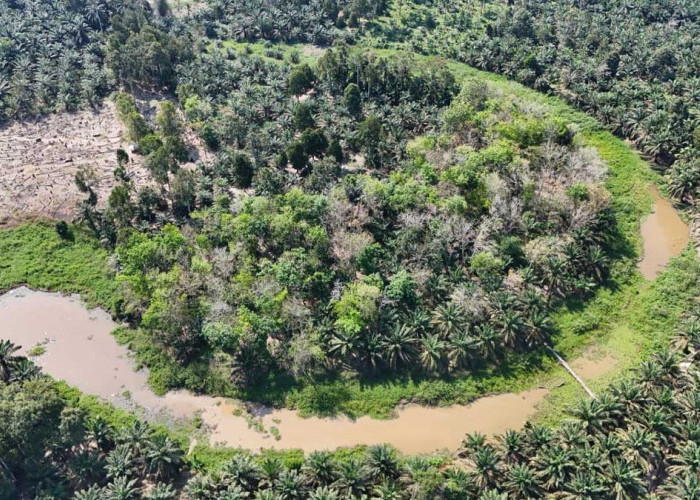 Kucurkan Dana Rp2,66 Miliar! Tebat Danau Karet Lahat Siap Disulap Jadi Pusat Ikan Air Tawar Raksasa
