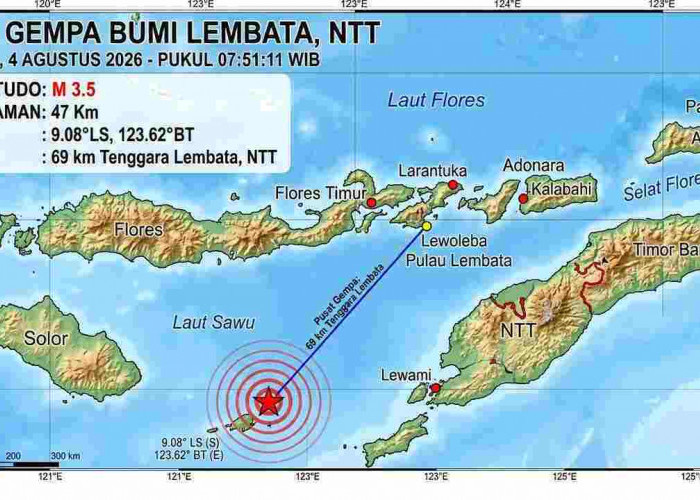 Gempa Magnitudo 3,5 Guncang Lembata NTT, BMKG Pastikan Tak Berpotensi Tsunami