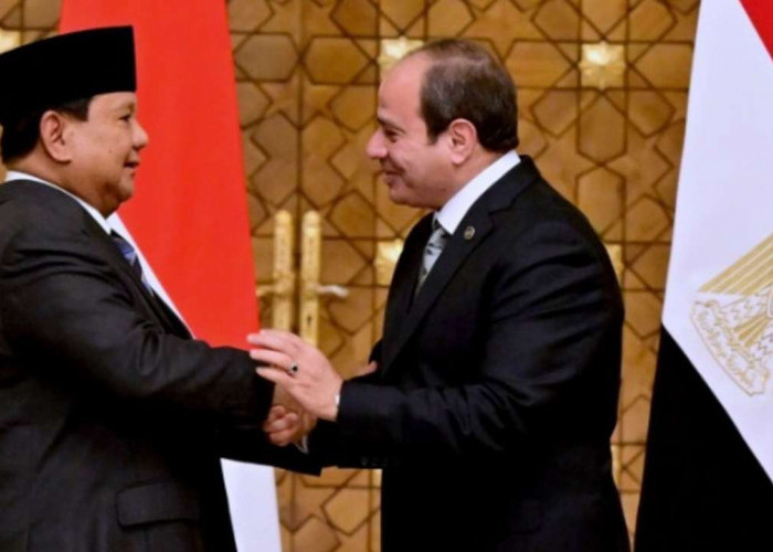 Dukung Kemerdekaan Palestina, Prabowo Temui Presiden Mesir, Ini Hasilnya