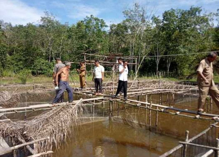 Camat Pseksu Monev Desa Lubuk Mabar, Cek Bangunan PAUD   dan Kolam Ikan