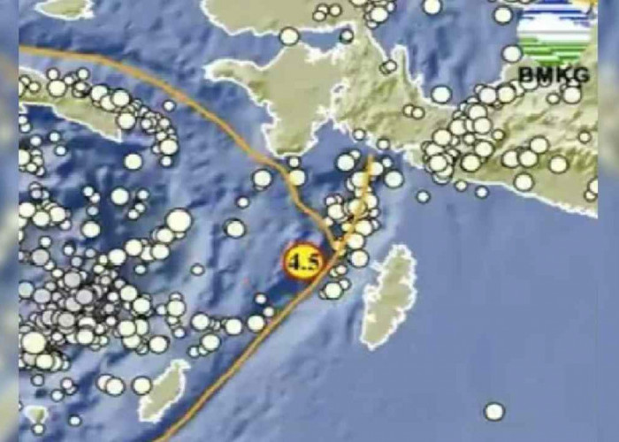 Gempa Bumi 4.5 Magnitudo Guncang Tual Maluku dari Kedalaman 38 Km