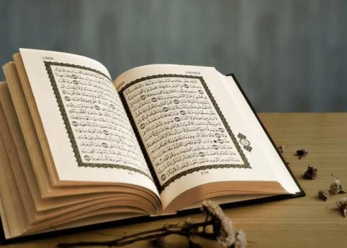 5 Kampus Ini Buka Jalur Khusus Hafidz Quran, Punya Hafalan Minimal 2 Juz Bisa Ikutan