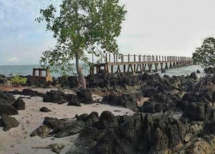 Pulau Maspari, Keindahan Alam Tak Tergambarkan, Surga Tersembunyi di Sumatera Selatan 