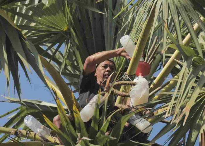 Desa Hendrosari Bangkit: UMKM Tumbuh, Ekonomi Melaju Berkat Program Desa BRILian