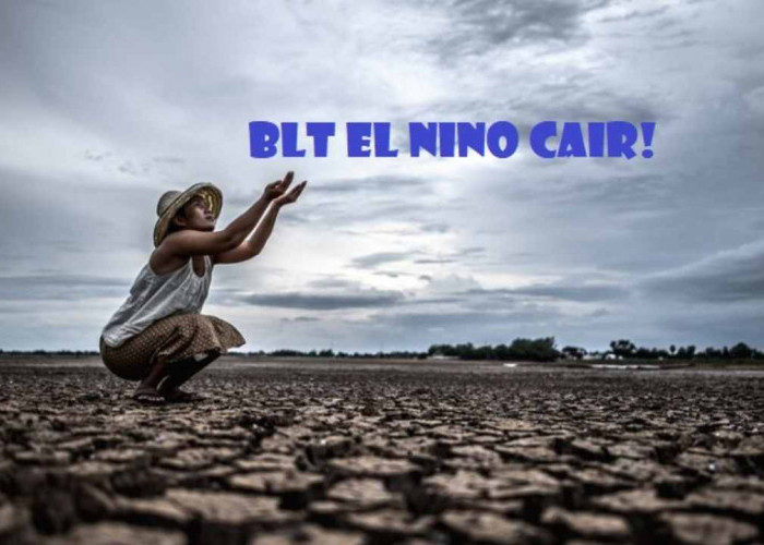 BLT El Nino Cair di 166 Daerah via Bank Himbara, Kapan Lewat Pos? Ini Jadwalnya!