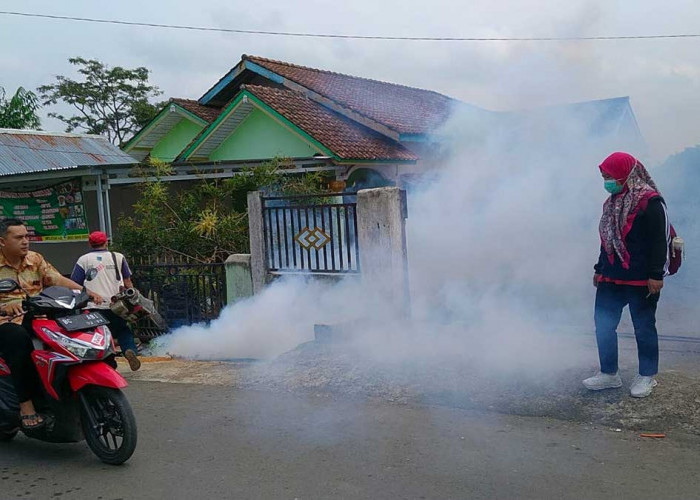 Kenapa Fogging Saja Belum Cukup? Ini Penjelasan Lengkap Dinkes Lahat Hadapi Ancaman DBD dan Malaria