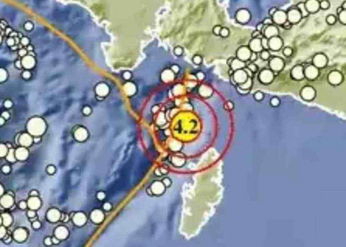 Gempa Magnitudo 4,2 Pagi Ini Guncang Kepulauan Aru, Tak Berpotensi Tsunami