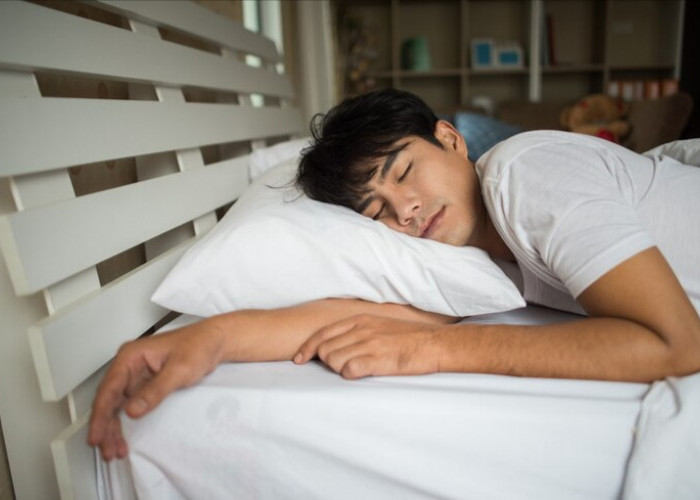 8 Jenis Tanaman Bikin Tidur Lebih Nyenyak, Dijamin Waktu Jam Tidur Terpenuhi