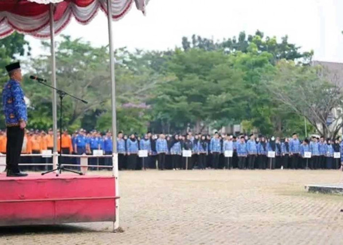 Wabup Ogan Ilir H Ardani Beri Peringatan Keras! Ajak ASN Siaga Penuh Hadapi Ancaman Karhutla