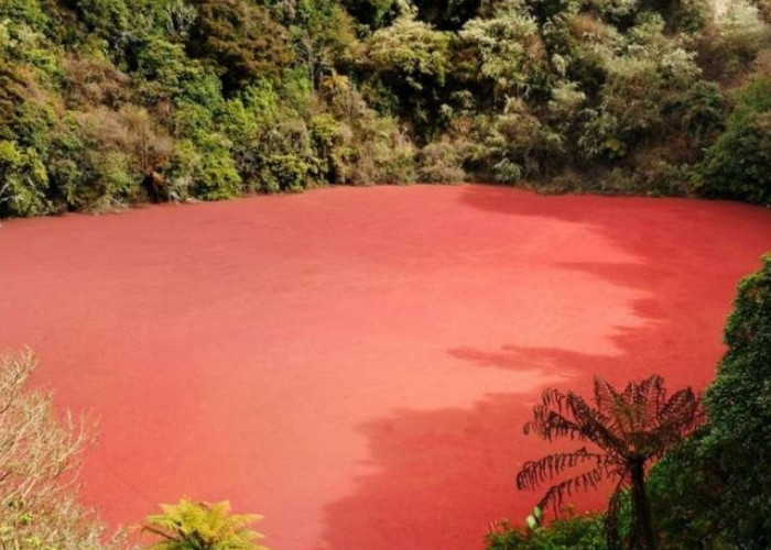 Ngeri! Ada Danau Merah Darah di Perbatasan Sumsel-Bengkulu, Dihuni Hewan Aneh