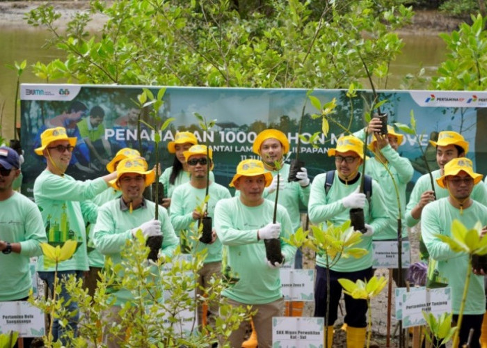 Pertamina Hulu Indonesia Tanam 1.200 Bibit Mangrove di Wilayah Kaltim, Ini Tujuannya