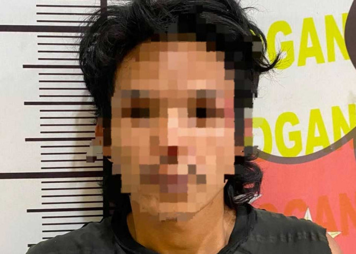 Gerak Cepat Tim Resmob, Pencuri Buah Sawit Meresahkan di Ogan Ilir Tak Berkutik Diciduk Polisi