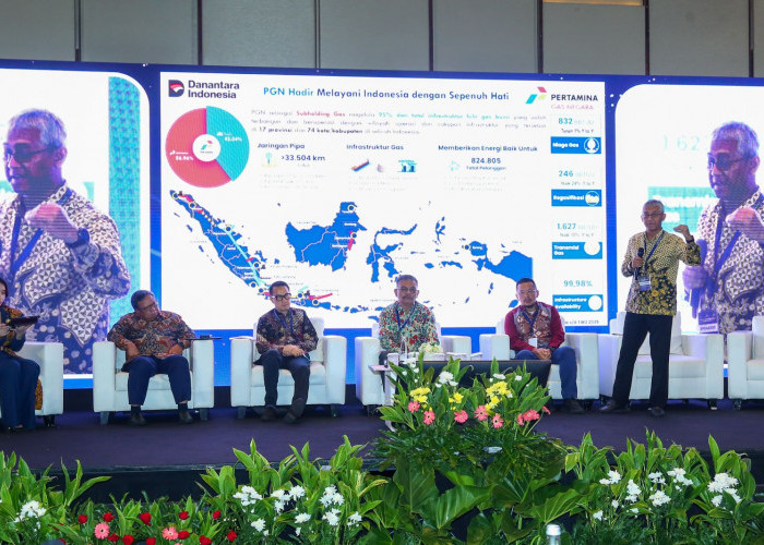 Infrastruktur Gas Bumi Terintegrasi, Strategi PGN untuk Transisi Energi Berkelanjutan