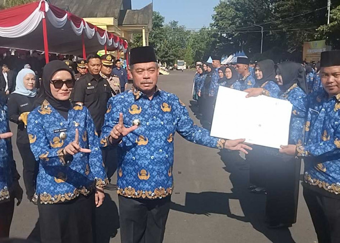 ASN Lahat Siap-siap! WFH Setiap Jumat Bakal Diterapkan, Ini Kriteria yang Diperbolehkan