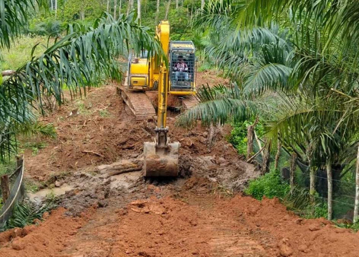 Petani Sawit Sumringah! Akses Jalan Kebun Jajaran Baru Lahat Kini Lebar 4 Meter, Mobil Bisa Masuk