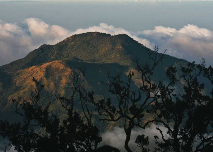 Berjuluk Wukir Mahendra Giri, Ini Sejarah dan Keindahan Gunung dengan 3 Puncak Utama di Jawa