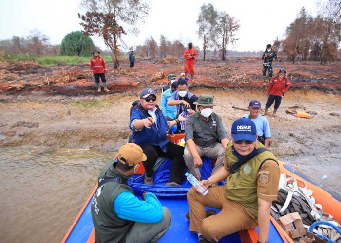 Naik Speed Boat Tinjau 2.000 Hektare Lahan Terbakar: Gubernur Herman Deru Pastikan Gajah di Banyuasin Aman