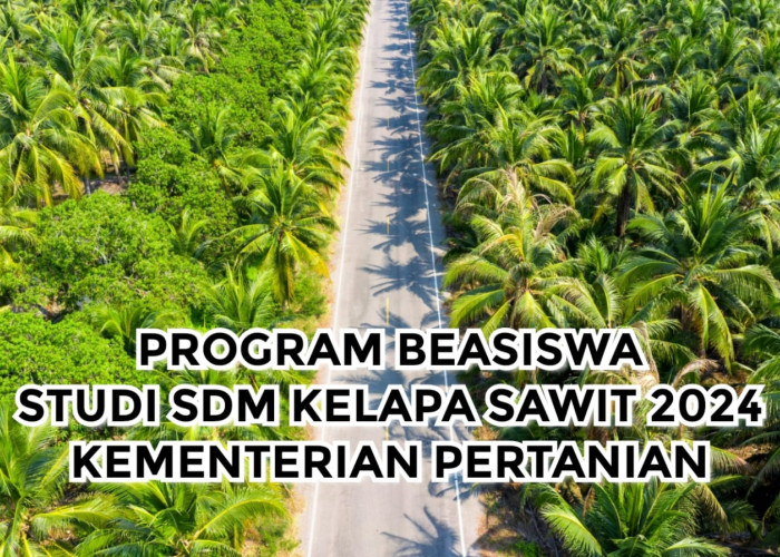 Kementerian Pertanian Buka Program Beasiswa Studi SDM Kelapa Sawit 2024 Apa Saja Syarat Pendaftarannya. 