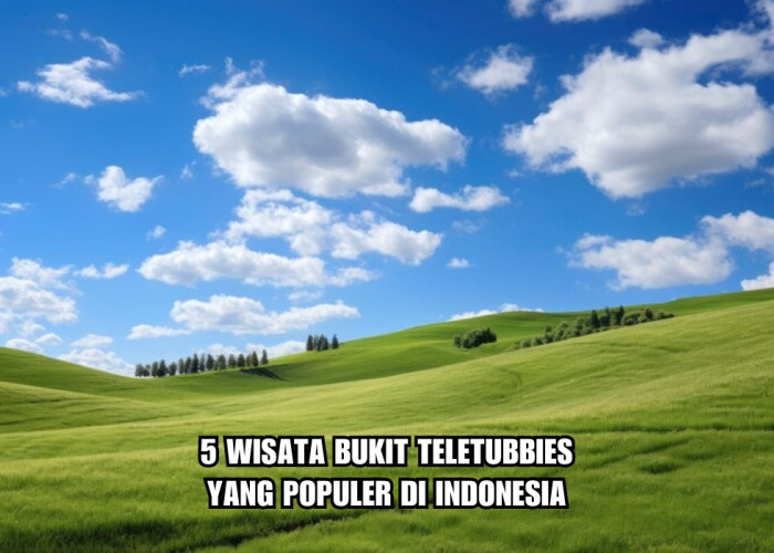 5 Wisata BukitTeletubbies yang Populer di Indonesia, Hamparan Bukit Hijau yang Indah, Mirip di New Zealand!