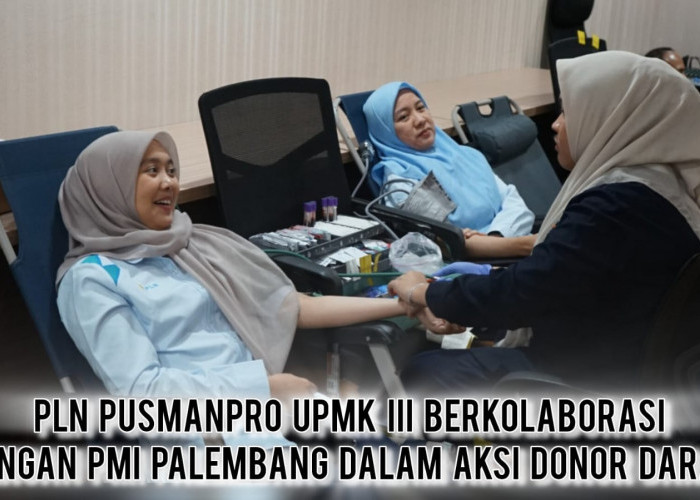 Wujudkan Budaya K3 Berkelanjutan: Sinergi PLN Pusmanpro UPMK III dan PMI Palembang Lewat Donor Darah