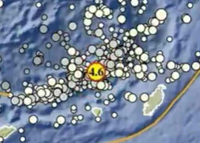 Gempa Magnitudo 4,6 Pagi Ini Guncang Maluku Tenggara Barat, Tak Berpotensi Tsunami