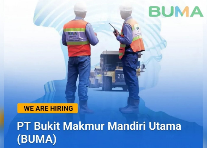 Lowongan Kerja Tambang Batubara Terbaru dari PT Bukit Makmur Mandiri Utama (BUMA), Link Daftar Di Sini!