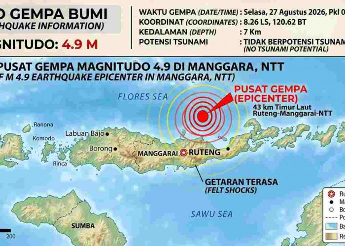 Gempa Susulan Flores M7,7 Belum Reda, 8.193 Kali Guncangan Tercatat hingga Hari Ini