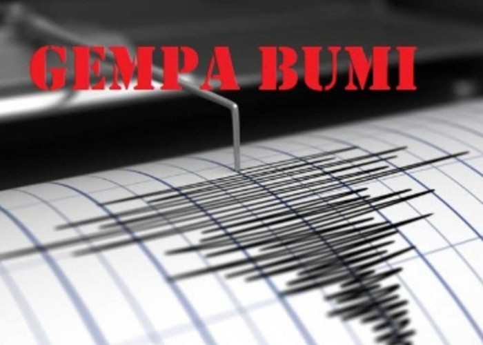 Update BMKG, Gempa 4.7 Magnitudo Pagi Ini Guncang Maluku Tenggara Barat, Tak Berpotensi Tsunami