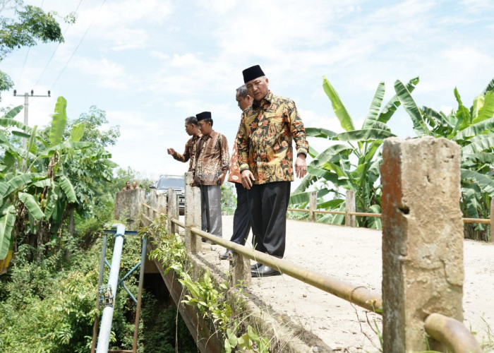 Pulang Kondangan, Pj Bupati Muba Cek Jembatan Desa Tanjung Agung Lais